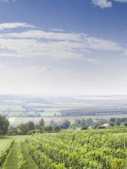 Fahrradurlaub Burgenland Fahrradurlaub Burgenland