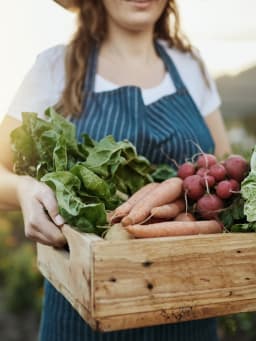 Tipps zur erfolgreichen Gemüseernte Tipps zur erfolgreichen Gemüseernte
