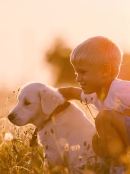 Das richtige Haustier für Kinder Das richtige Haustier für Kinder