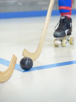 Rollhockey & Inlinehockey Rollhockey & Inlinehockey