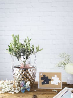 Geschenke & Glückwunschkarten zur Silberhochzeit Geschenke & Glückwunschkarten zur Silberhochzeit