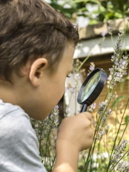 Dieren in de tuin bekijken met kinderen Dieren in de tuin bekijken met kinderen