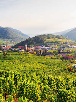 Familienurlaub in Niederösterreich Familienurlaub in Niederösterreich