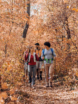 Soorten wandelingen Soorten wandelingen