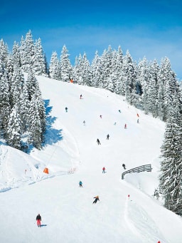 Günstiger Skiurlaub: Skifahrer fahren schneebedeckte Piste herunter. Günstiger Skiurlaub: Skifahrer fahren schneebedeckte Piste herunter.