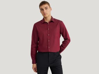 Different kinds of shirts: a man wearing a formal shirt. Different kinds of shirts: a man wearing a formal shirt.