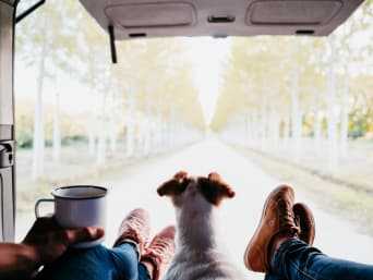 Camping für Anfänger: Hund sitzt zwischen seinen Besitzern und schaut aus dem Kofferraum eines Campervans.
