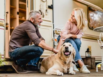 Kamperen met de hond − hond ligt ontspannen voor een caravan en wordt door zijn baasjes geaaid.  Kamperen met de hond − hond ligt ontspannen voor een caravan en wordt door zijn baasjes geaaid.
