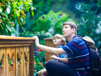 Ausflugsziele mit Kindern: Vater und Sohn im botanischen Garten.