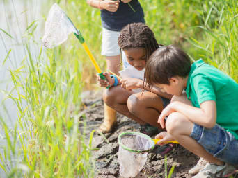 Kinderferiencamp – Kinder erforschen ein Bachufer mit einem Netz. Kinderferiencamp – Kinder erforschen ein Bachufer mit einem Netz.