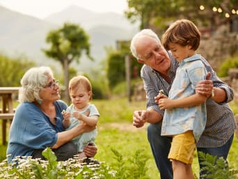 Urlaub mit Enkelkind: Großeltern erkunden die Pflanzen im Garten mit ihren Enkelkindern. Urlaub mit Enkelkind: Großeltern erkunden die Pflanzen im Garten mit ihren Enkelkindern.
