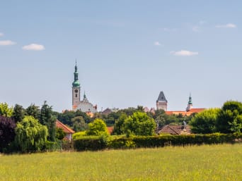 Výlety po jižních Čechách by vás měly zavést i do Tábora.  Výlety po jižních Čechách by vás měly zavést i do Tábora.