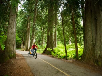 Vater unternimmt mit seinem Kind eine Radtour durch den Wald. Vater unternimmt mit seinem Kind eine Radtour durch den Wald.