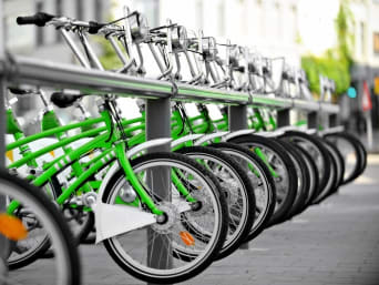 Scheldedijkroute: Groene stadsfietsen op een rij in een fietsenstalling.   Scheldedijkroute: Groene stadsfietsen op een rij in een fietsenstalling.