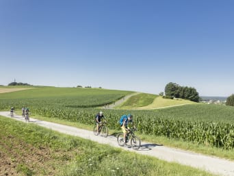 Radwege Burgenland: Fahrradfahrer fahren durch die hügelige Landschaft des Burgenlands.  Radwege Burgenland: Fahrradfahrer fahren durch die hügelige Landschaft des Burgenlands.