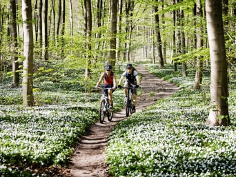 Veloweg Winterthur: Paar fährt gemeinsam auf ihren Mountainbikes durch den Wald. Veloweg Winterthur: Paar fährt gemeinsam auf ihren Mountainbikes durch den Wald.