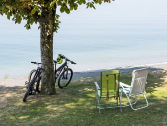 Zugersee Velorundfahrt: Fahrräder lehnen am Ufer des Zugersees an einem Baum. Zugersee Velorundfahrt: Fahrräder lehnen am Ufer des Zugersees an einem Baum.