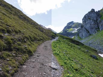 Photo editing - a photo with high and low contrast. Photo editing - a photo with high and low contrast.