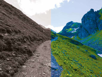 Photo editing - a photo with a lot and not a lot of saturation. Photo editing - a photo with a lot and not a lot of saturation.