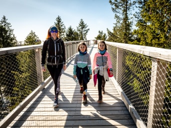 Boomkroonpad kinderen – Familie wandelt op een boomkroonpad. Boomkroonpad kinderen – Familie wandelt op een boomkroonpad.