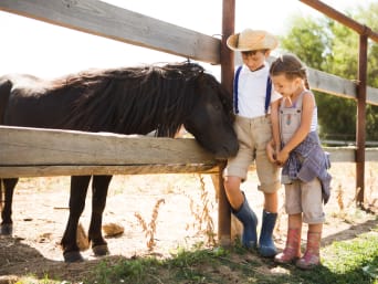 Belevenissen met dieren – Kinderen bezoeken een paard op de manege. Belevenissen met dieren – Kinderen bezoeken een paard op de manege.
