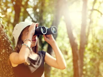 Juiste omgang met dieren - meisje observeert vogels in het bos. Juiste omgang met dieren - meisje observeert vogels in het bos.