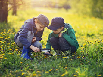 Omgaan met dieren - Twee jongens onderzoeken een weiland als onderdeel van een natuurtocht. Omgaan met dieren - Twee jongens onderzoeken een weiland als onderdeel van een natuurtocht.