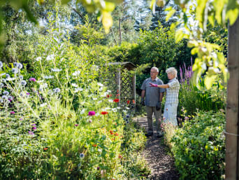 Gartenarbeit im Sommer: Ehepaar plant gemeinsam die Bepflanzung im Garten.  Gartenarbeit im Sommer: Ehepaar plant gemeinsam die Bepflanzung im Garten.
