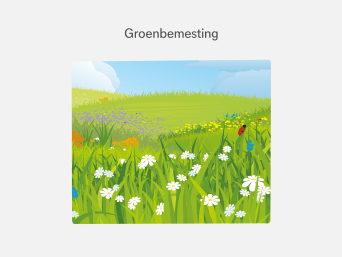 Groenbemesting – informatiegrafiek over de wisselteelt in de moestuin. Groenbemesting – informatiegrafiek over de wisselteelt in de moestuin.
