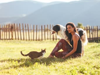 Welches Haustier passt zu mir? – Manche Tierarten brauchen mehr Zeit und Auslauf als andere.