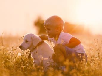 Haustiere für Kinder – Kleiner Junge spielt mit dem Hund. Haustiere für Kinder – Kleiner Junge spielt mit dem Hund.