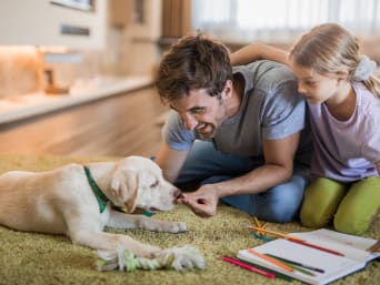 Welches Haustier für Kinder? – Vater und Tochter füttern gemeinsam den Hund. Welches Haustier für Kinder? – Vater und Tochter füttern gemeinsam den Hund.