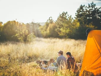 Tierbetreuung in den Ferien – Familie ist mit ihrem Hund zelten. Tierbetreuung in den Ferien – Familie ist mit ihrem Hund zelten.