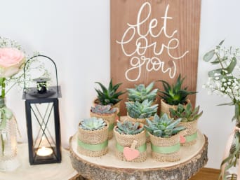 Make your own wedding favours: little succulents as a little something for your wedding guests. Make your own wedding favours: little succulents as a little something for your wedding guests.