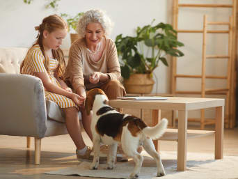 Erwachsenen Hund eingewöhnen und Bindung stärken: Großmutter und Enkelin streicheln den Hund. 