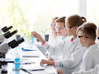 MINT-Fächer anschaulich gestalten: Schulklasse bei einem Experiment im Chemieunterricht. MINT-Fächer anschaulich gestalten: Schulklasse bei einem Experiment im Chemieunterricht.