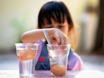 Experimente für Kinder: Versuch zur Wasserdichte mit Eiern. Experimente für Kinder: Versuch zur Wasserdichte mit Eiern.