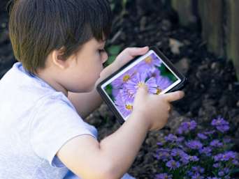 MINT Apps für Kinder: Kleiner Junge fotografiert Blumen mit einer Pflanzenerkennungs-App. MINT Apps für Kinder: Kleiner Junge fotografiert Blumen mit einer Pflanzenerkennungs-App.
