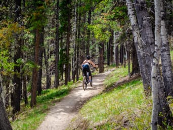 MTB-route in de Lage Ardennen: een vrouw maakt een MTB-tocht door bosrijke omgeving. MTB-route in de Lage Ardennen: een vrouw maakt een MTB-tocht door bosrijke omgeving.