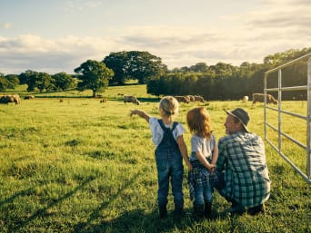 Ferien auf dem Bauernhof mit Kindern: Vater beobachtet mit seinen Kindern Kühe auf der Wiese. Ferien auf dem Bauernhof mit Kindern: Vater beobachtet mit seinen Kindern Kühe auf der Wiese.