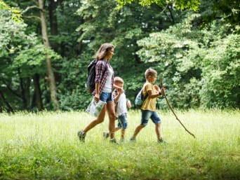 Mutter wandert mit ihren Söhnen über eine Wiese im Wald. Mutter wandert mit ihren Söhnen über eine Wiese im Wald.