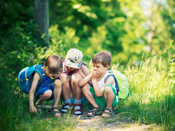 Drei Kinder beobachten Insekten auf dem Waldboden. Drei Kinder beobachten Insekten auf dem Waldboden.
