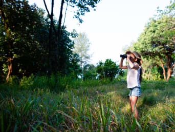 Natur erleben mit Kindern – Mädchen beobachtet Tiere mit einem Fernglas. Natur erleben mit Kindern – Mädchen beobachtet Tiere mit einem Fernglas.
