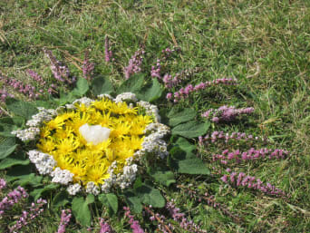 Mandala aus Naturmaterialien – Mandala aus Löwenzahn und Heidekraut. Mandala aus Naturmaterialien – Mandala aus Löwenzahn und Heidekraut.