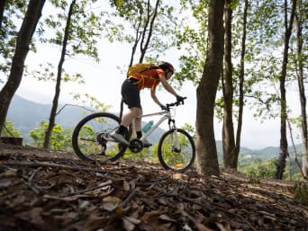 Jura Gebirge: Mountainbikerin fährt einen Waldweg auf einem Berggipfel herunter. Jura Gebirge: Mountainbikerin fährt einen Waldweg auf einem Berggipfel herunter.