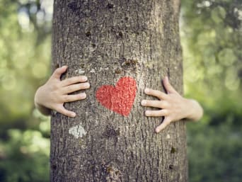 Umweltbewusstes Verhalten bei Outdoor-Aktivitäten: Hände umarmen einen Baum. Umweltbewusstes Verhalten bei Outdoor-Aktivitäten: Hände umarmen einen Baum.