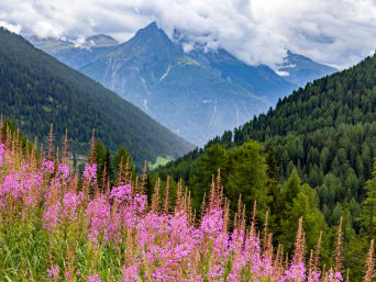 Ferien Unterengadin: Blick auf bewaldete Berge im Unterengadin. Ferien Unterengadin: Blick auf bewaldete Berge im Unterengadin.