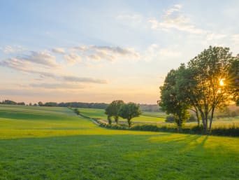 Buitenactiviteiten in de Voerstreek: ontdek de natuur. Buitenactiviteiten in de Voerstreek: ontdek de natuur.