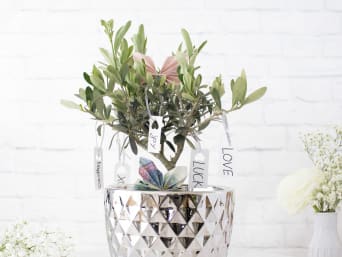 Silver wedding anniversary gifts: the wishing tree is a great idea for a silver wedding anniversary gift. Silver wedding anniversary gifts: the wishing tree is a great idea for a silver wedding anniversary gift.