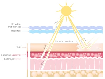 UV-straling – De grafiek laat zien hoe UV-stralen zonder zonbescherming diep in de huid doordringen. UV-straling – De grafiek laat zien hoe UV-stralen zonder zonbescherming diep in de huid doordringen.
